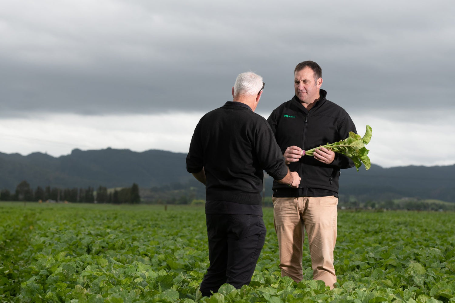 Territory Managers & Technical Specialists