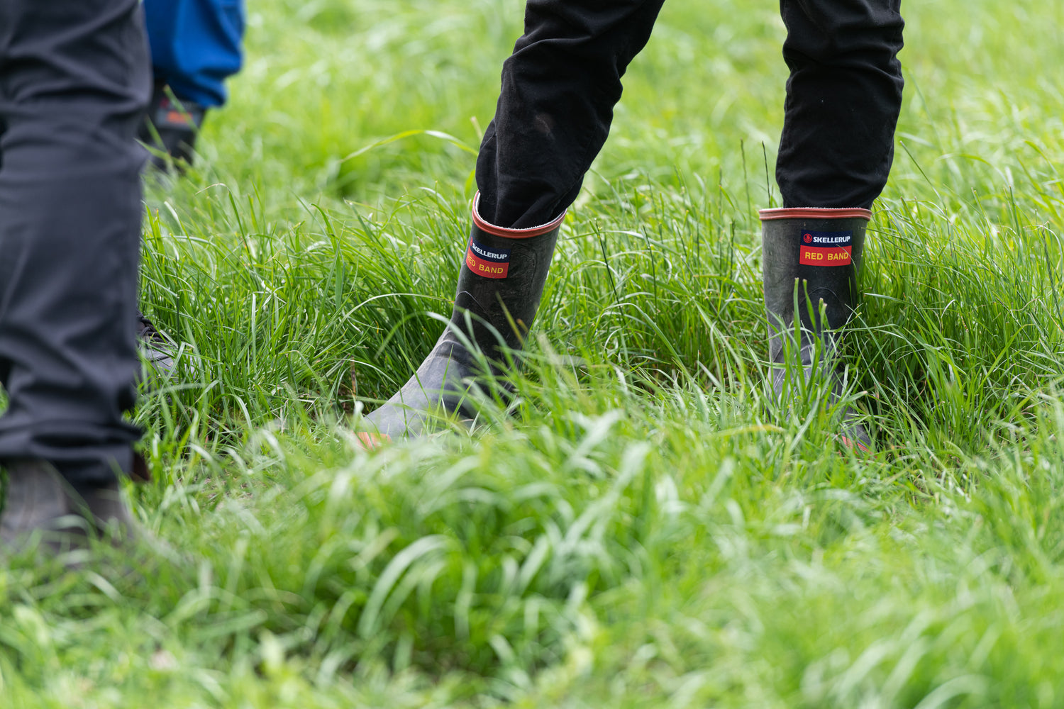 Nufarm Pasture Banner